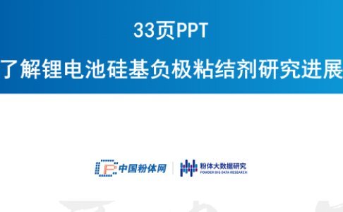 33頁(yè)P(yáng)PT了解鋰電池硅基負(fù)極粘結(jié)劑研究進(jìn)展
