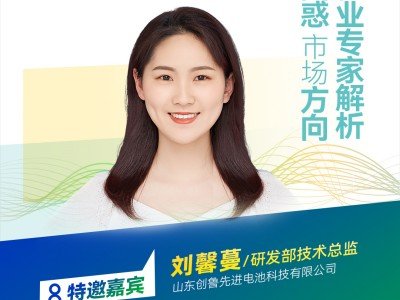 【會(huì)議報(bào)告】石榴石固體電解質(zhì)研究進(jìn)展與面臨的關(guān)鍵問(wèn)題