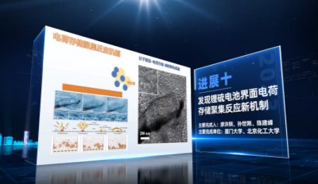 中國科學十大進展之發(fā)現(xiàn)鋰硫電池界面電荷存儲聚集反應新機制