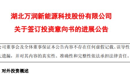 正極材料龍頭50億元大項目到期終止！涉及鈉離子電池及固態(tài)電池等